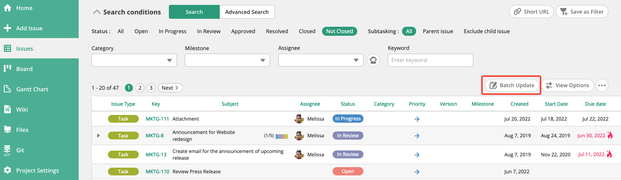 Update multiple issues at a time – FAQs & Technical Support | Nulab