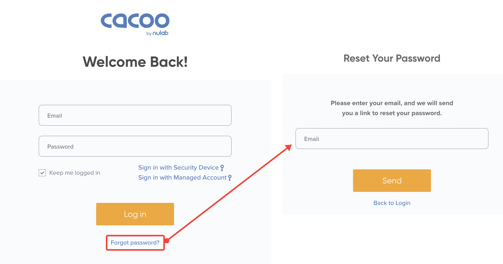 Reset Password Html Template Free Download