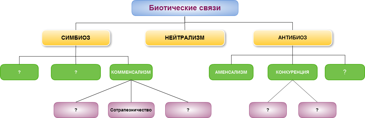 Биологические связи. Взаимоотношения между организмами схема. Типы биотических взаимоотношений схема. Типы взаимодействия между организмами схема. Типы биотических взаимодействий схема.