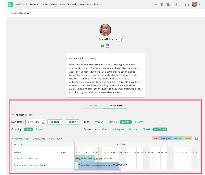 Gantt Chart in Profile | Backlog