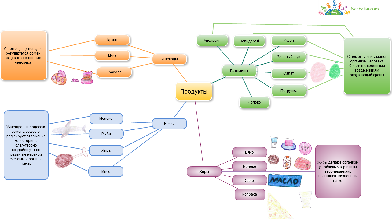 Ментальная карта углеводы химия