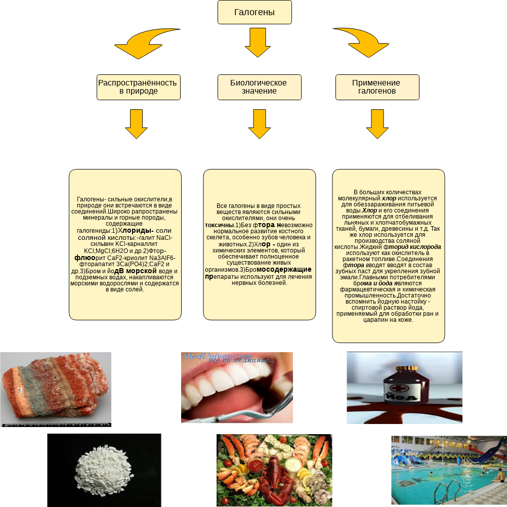 Значение галогенов. Биологическое значение галогенов. Биологическая роль галогенов схема. Применение галогенов таблица. Применение галогенов примеры.