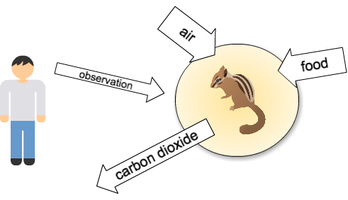 https://cacoo.com/diagrams/mxOT3ZxYB4aXK9uu-8F212.png