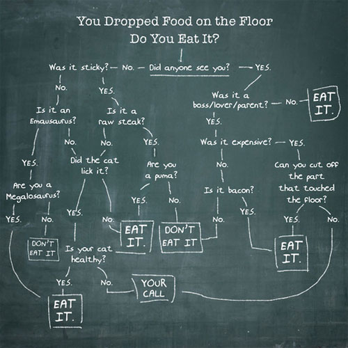 9 - Do you eat it flowchart