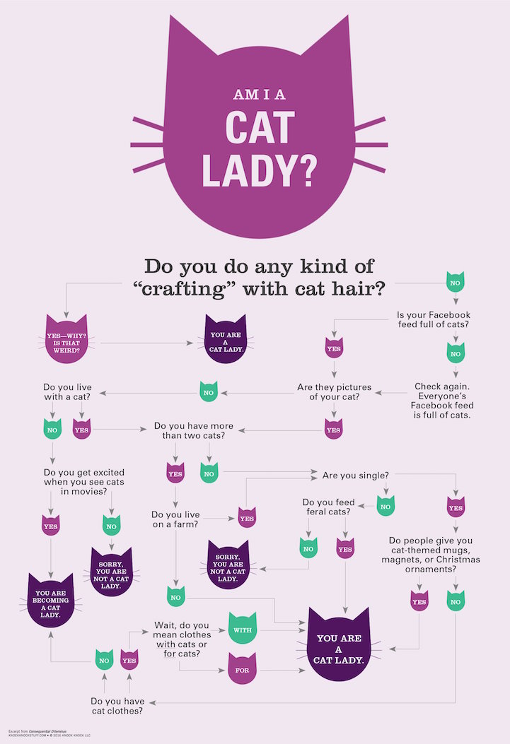 Am I a Cat Lady flowchart