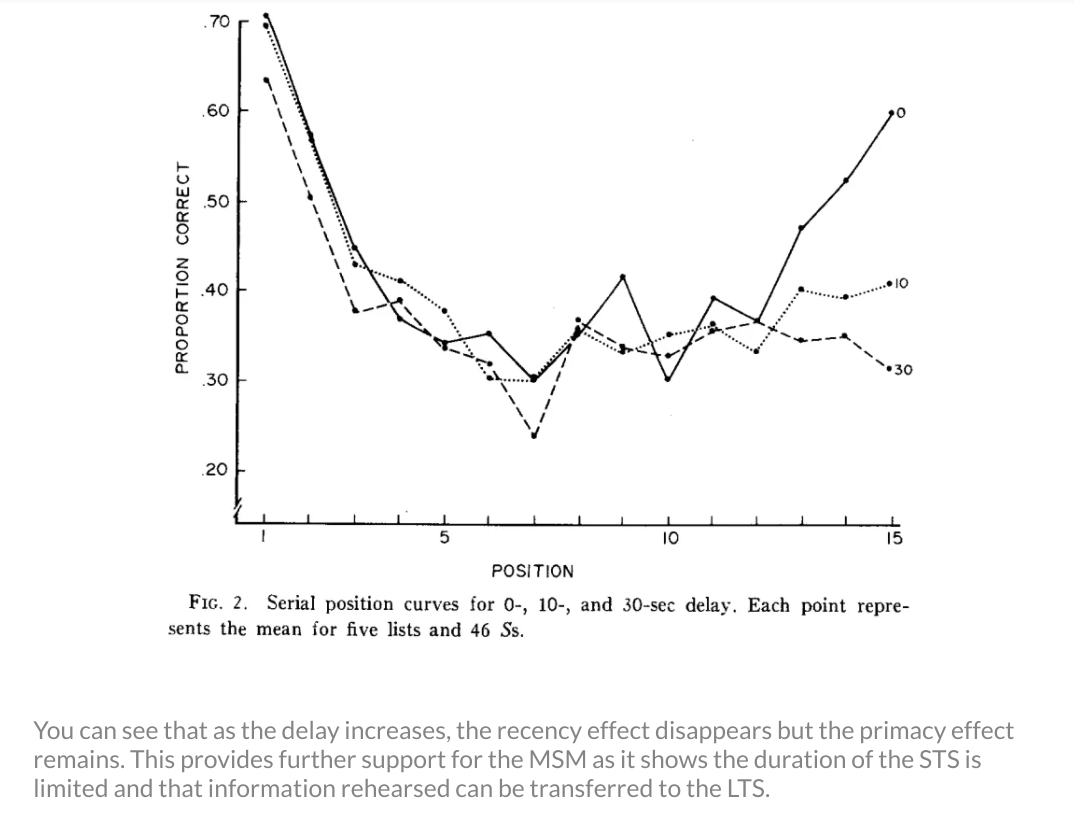 serial position effect