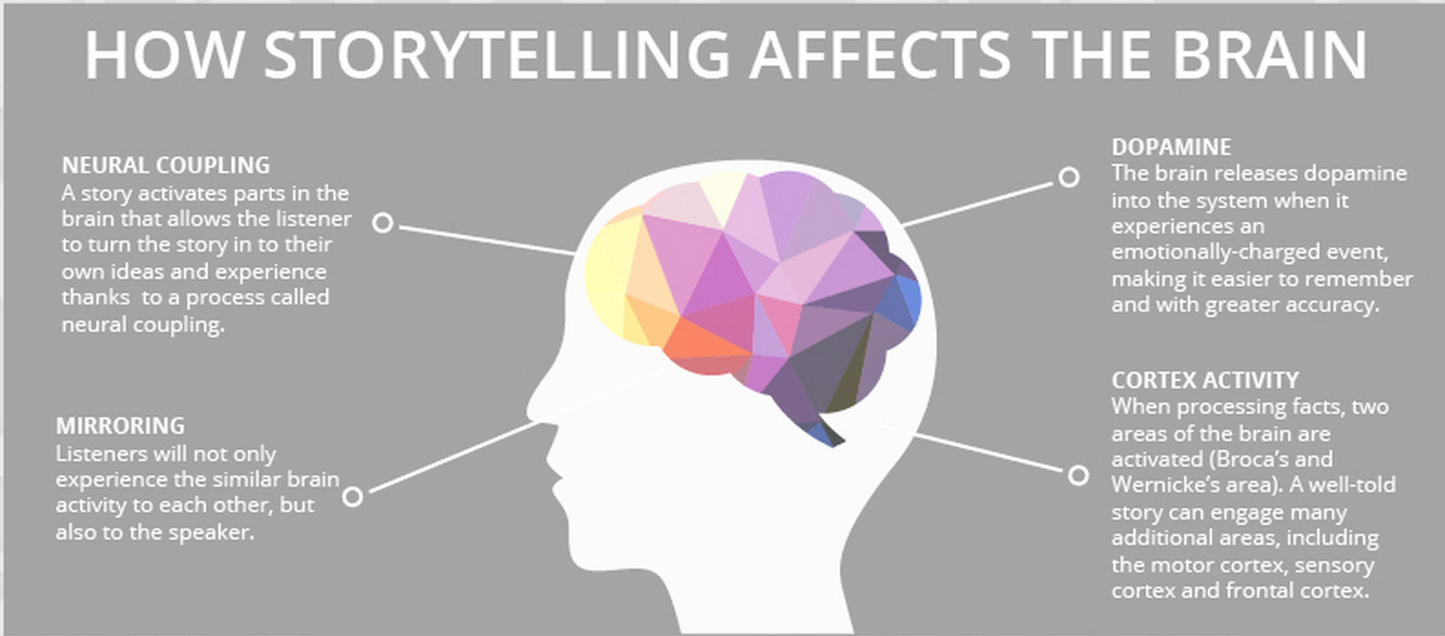 How Story Telling Affects the Brain